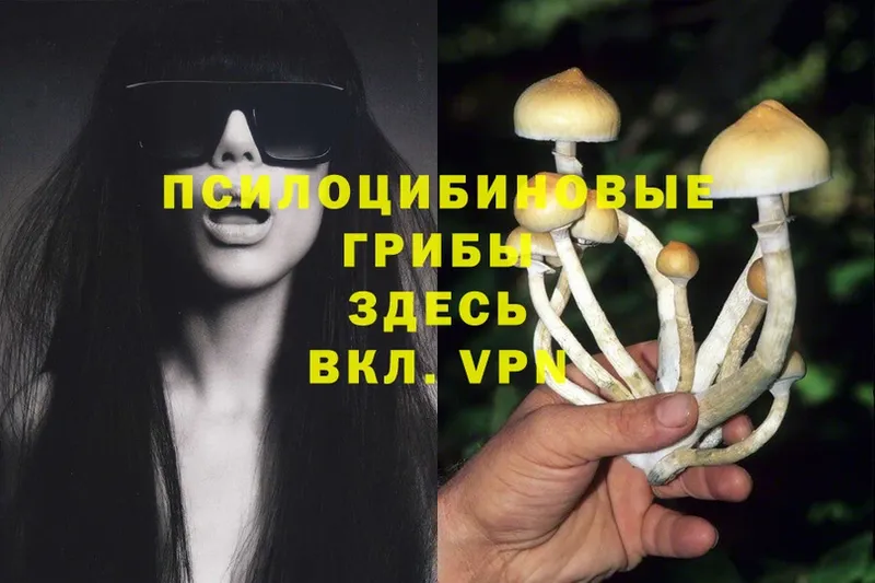 KRAKEN рабочий сайт  Берёзовский  Галлюциногенные грибы MAGIC MUSHROOMS 